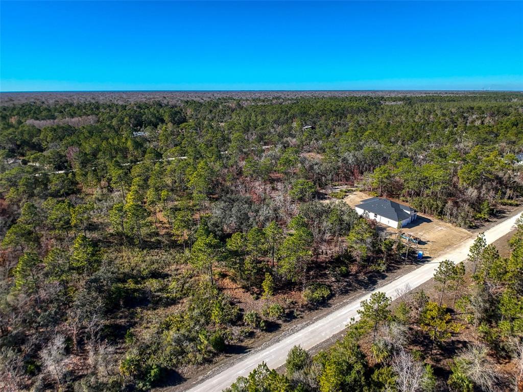 18079 Ramsey Road Weeki Wachee, FL 34614 - Photo 19 of 37 a view of a green field