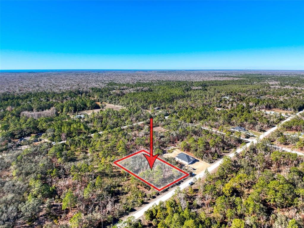 18079 Ramsey Road Weeki Wachee, FL 34614 - Photo 20 of 37 an aerial view of a city
