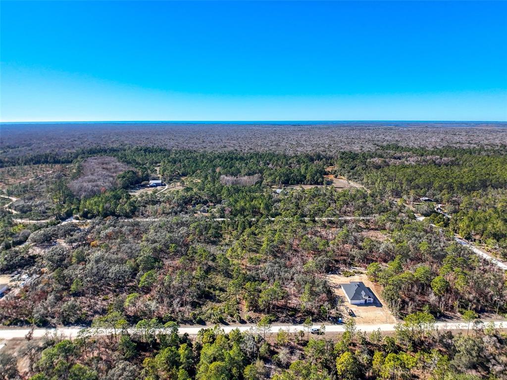 18079 Ramsey Road Weeki Wachee, FL 34614 - Photo 23 of 37 a view of a city with lush green forest