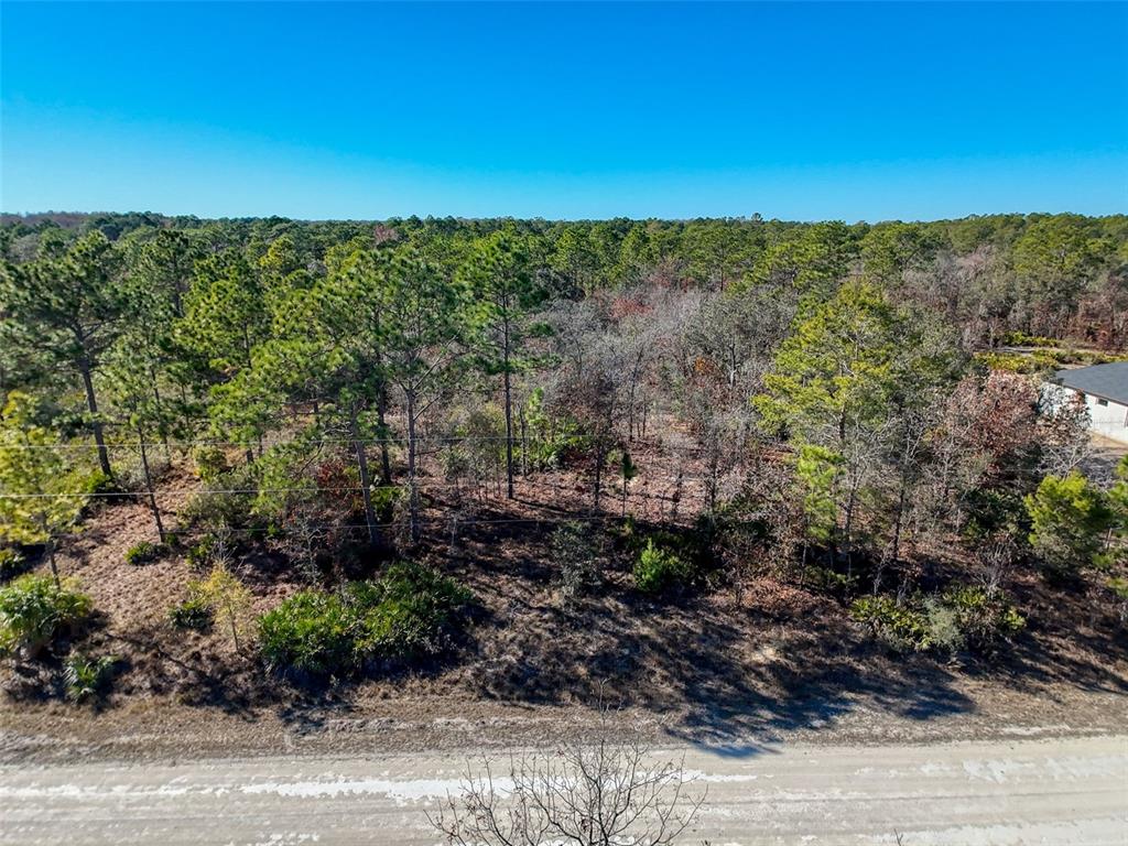 18079 Ramsey Road Weeki Wachee, FL 34614 - Photo 24 of 37 a view of a city