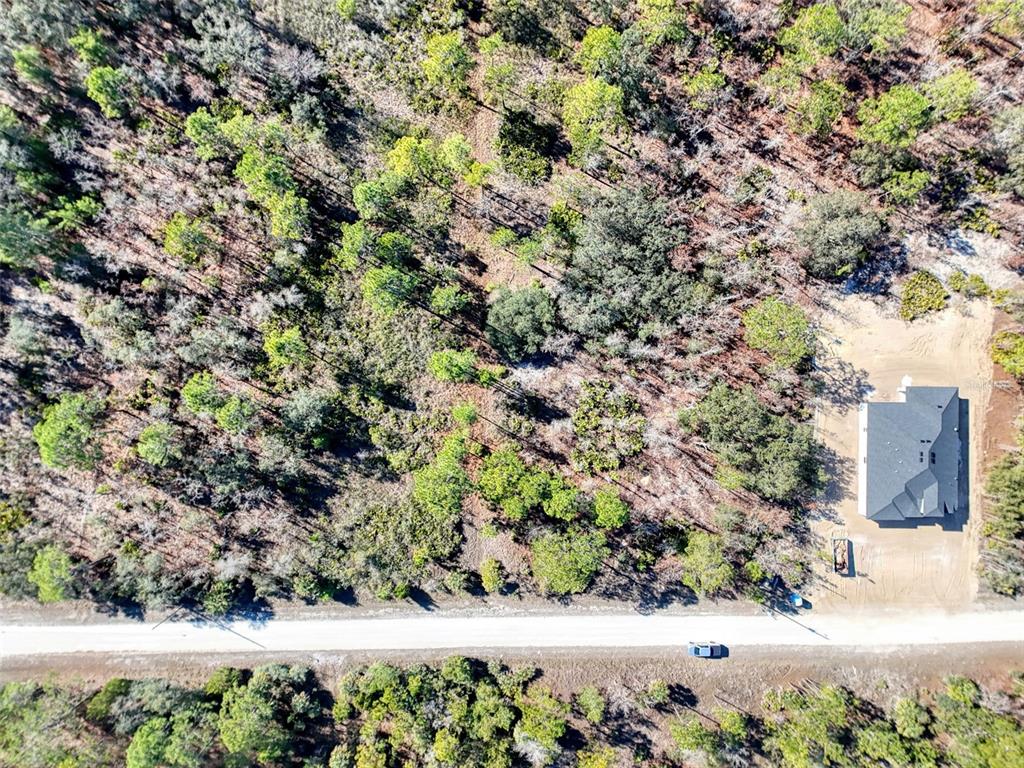18079 Ramsey Road Weeki Wachee, FL 34614 - Photo 26 of 37 a view of a yard with plants