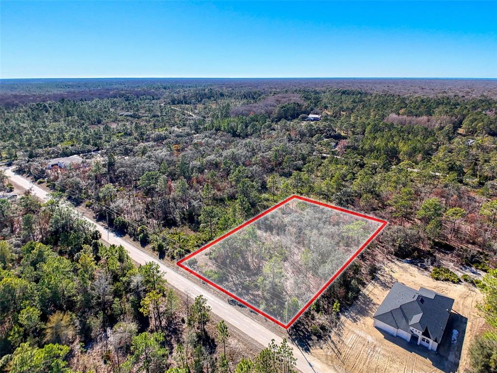 18079 Ramsey Road Weeki Wachee, FL 34614 - Photo 27 of 37 a view of a dry yard with green space