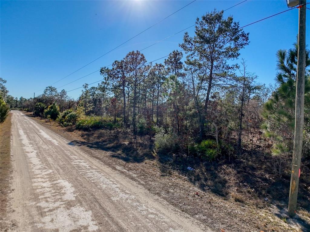 18079 Ramsey Road Weeki Wachee, FL 34614 - Photo 28 of 37 a view of a garden
