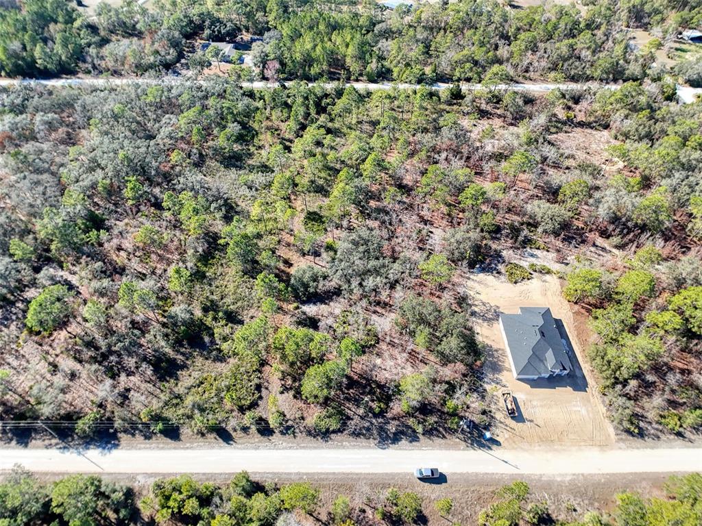 18079 Ramsey Road Weeki Wachee, FL 34614 - Photo 29 of 37 an aerial view of house with yard and mountain view in back