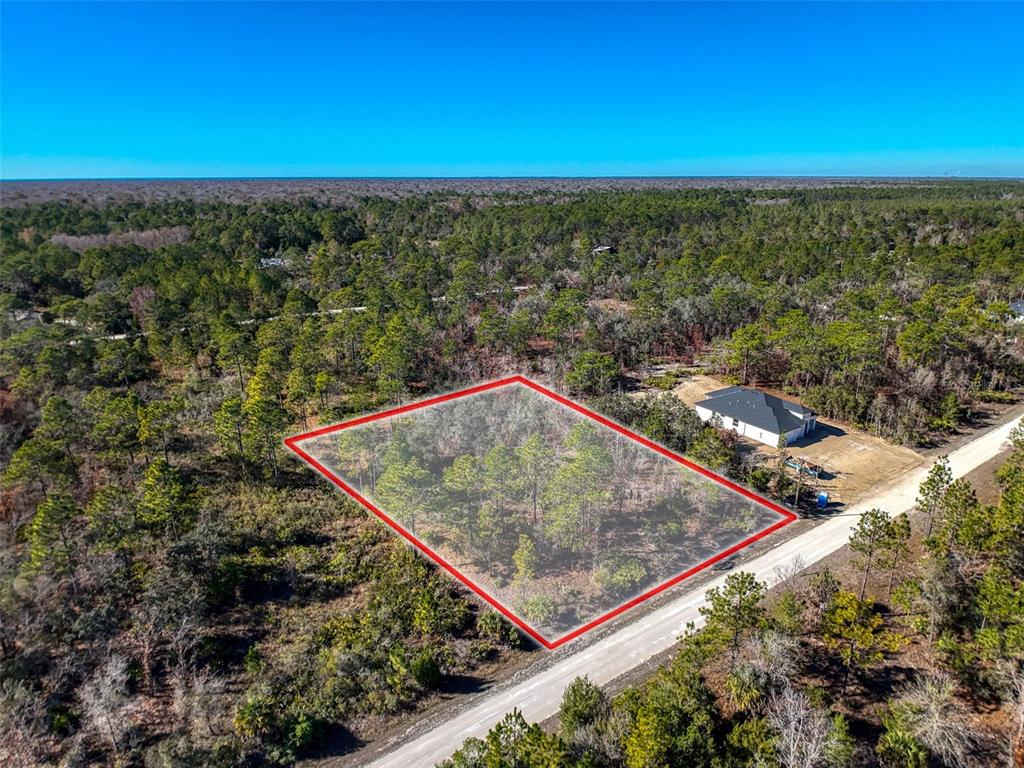 18079 Ramsey Road Weeki Wachee, FL 34614 - Photo 30 of 37 a view of a yard