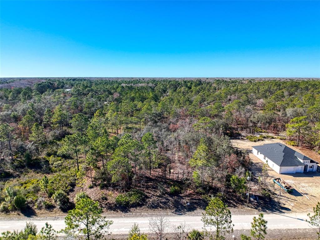 18079 Ramsey Road Weeki Wachee, FL 34614 - Photo 37 of 37 a view of a city with ocean