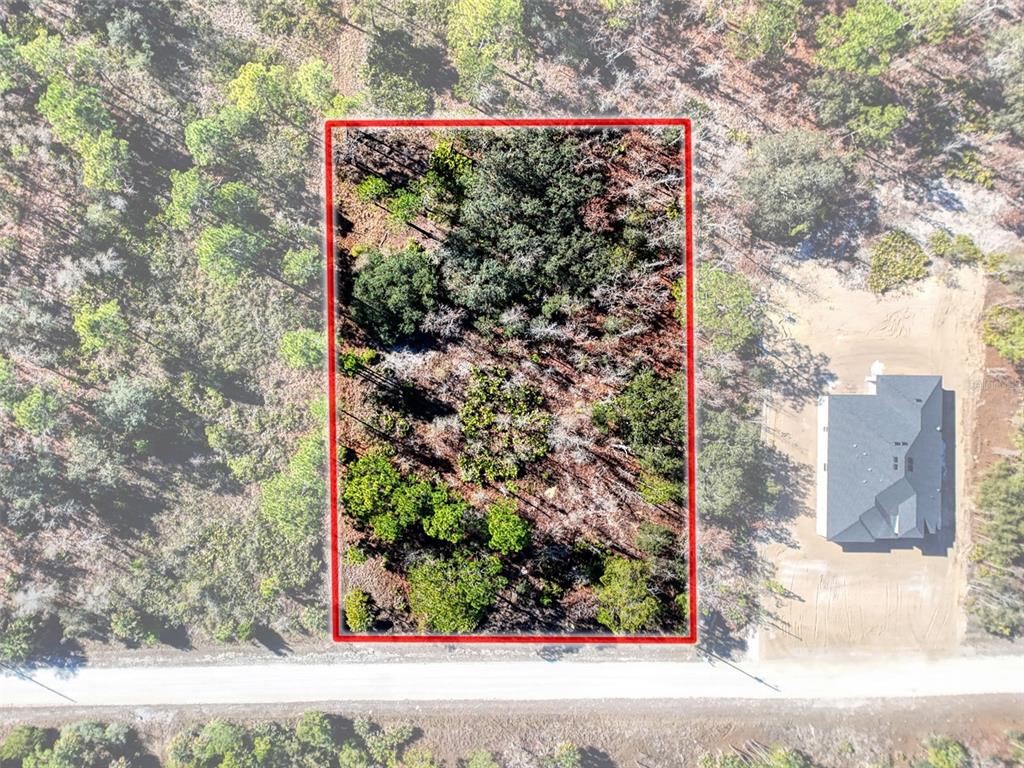 18079 Ramsey Road Weeki Wachee, FL 34614 - Photo 6 of 37 a picture of a outdoor space