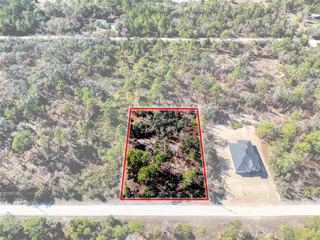 18079 Ramsey Road Weeki Wachee, FL 34614 - Photo 7 of 37 a view of a tree with an outdoor space