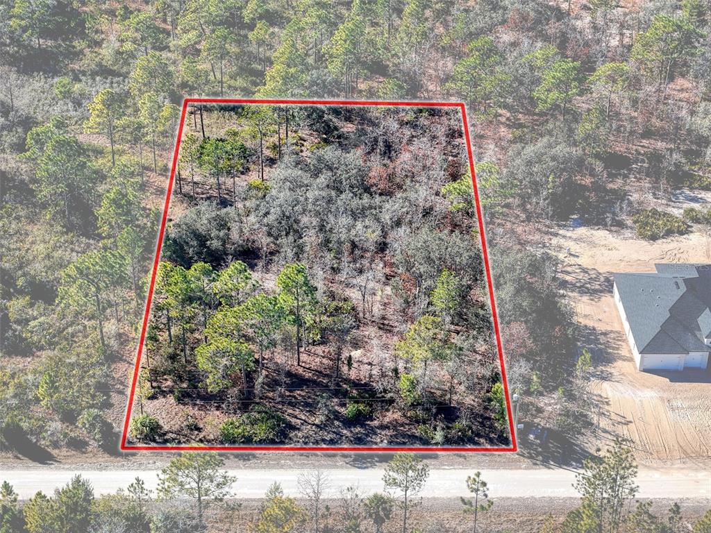 18079 Ramsey Road Weeki Wachee, FL 34614 - Photo 8 of 37 a view of a wooden bench