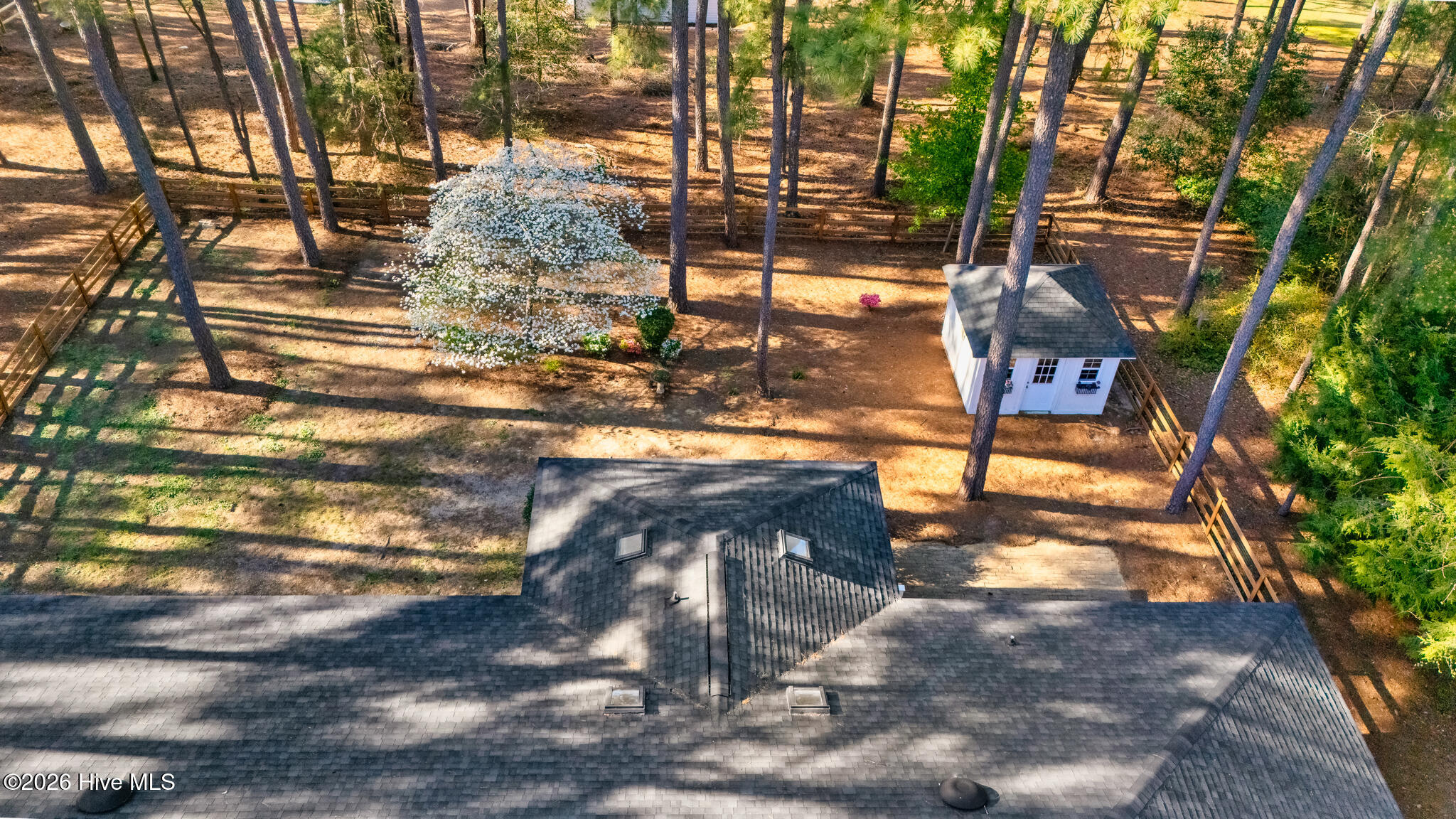 62 Richmond Road Jackson Springs, NC 27281 - Photo 31 of 32 62 Richmond-31
