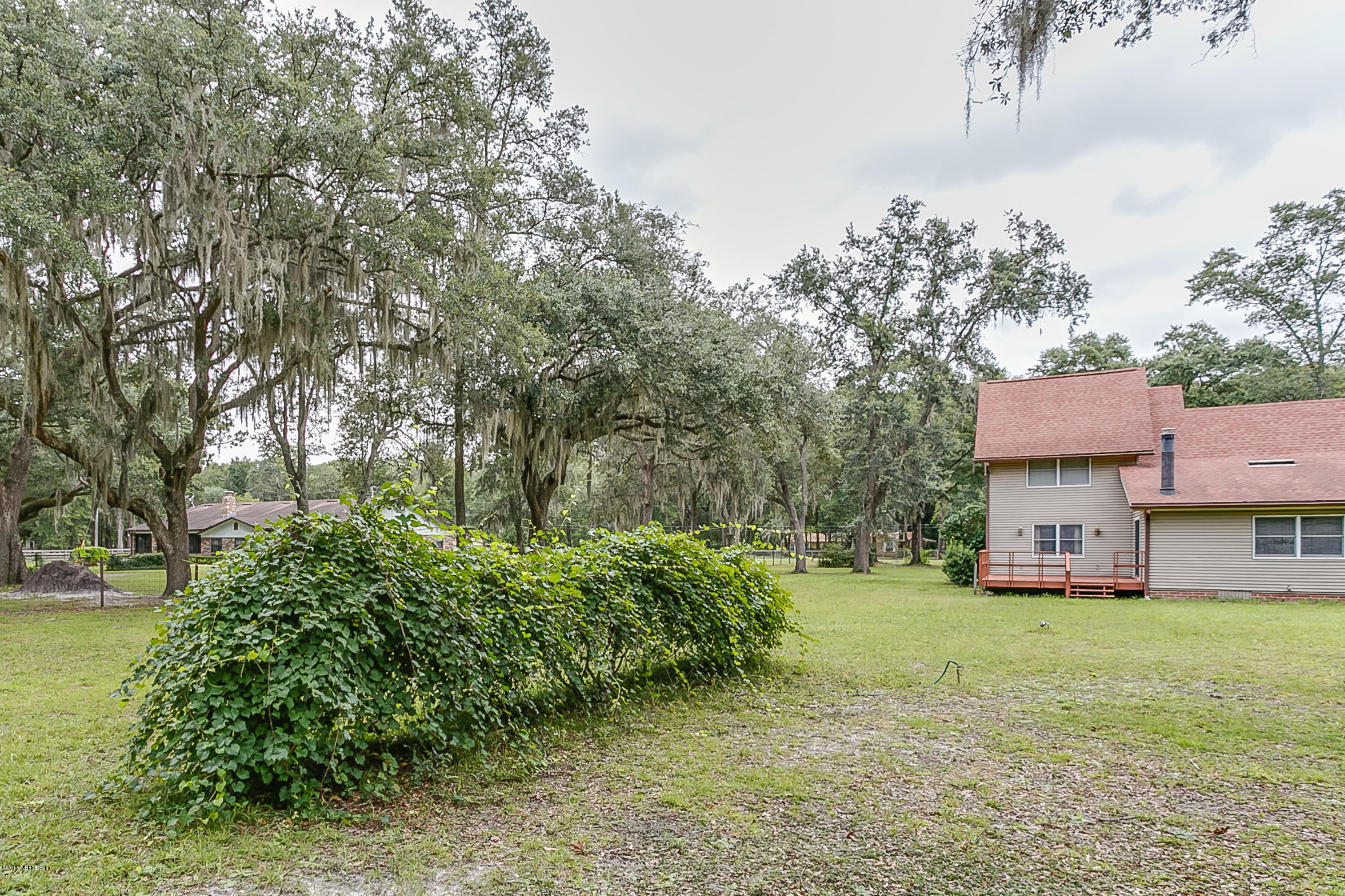 809 Branscomb Road Middleburg, FL 32068 - Photo 29 of 38 Grape_Arbor