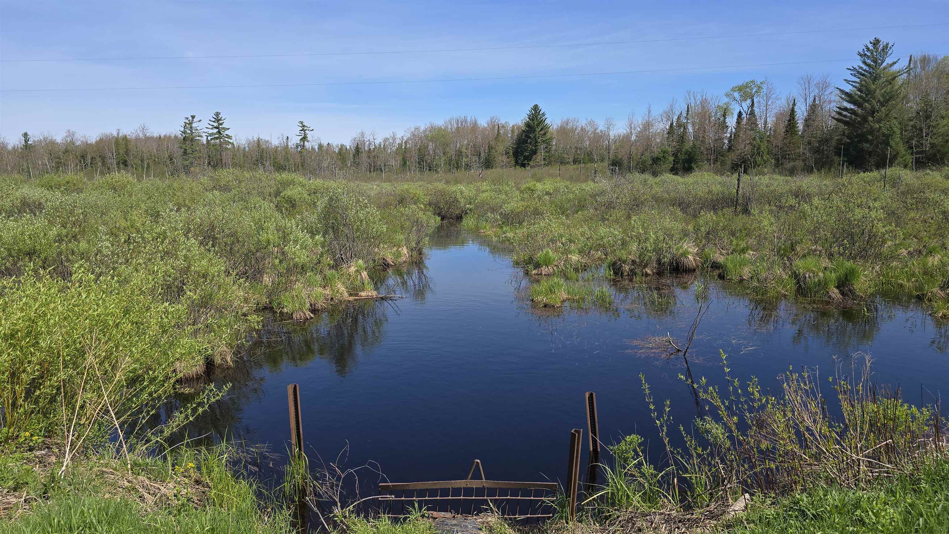 0 Lund Road Southwest Fife Lake, MI 49633 - Photo 25 of 39