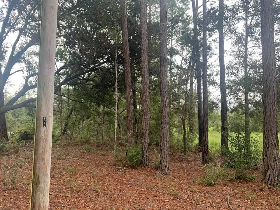 26348 Feely Road Elberta, AL 36530 - Photo 11 of 43
