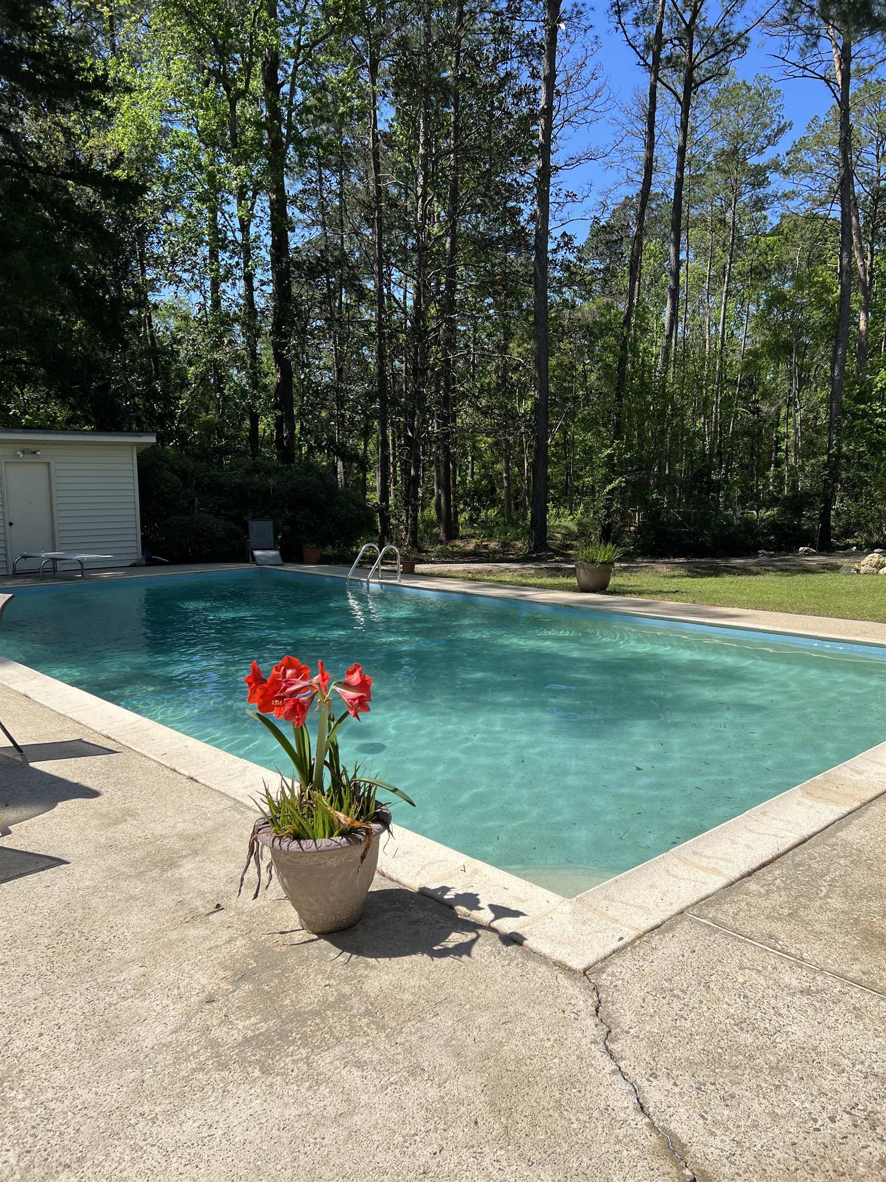 2770 Pine Ridge Road Tallahassee, FL 32308 - Photo 7 of 27 Gallery Image 7
