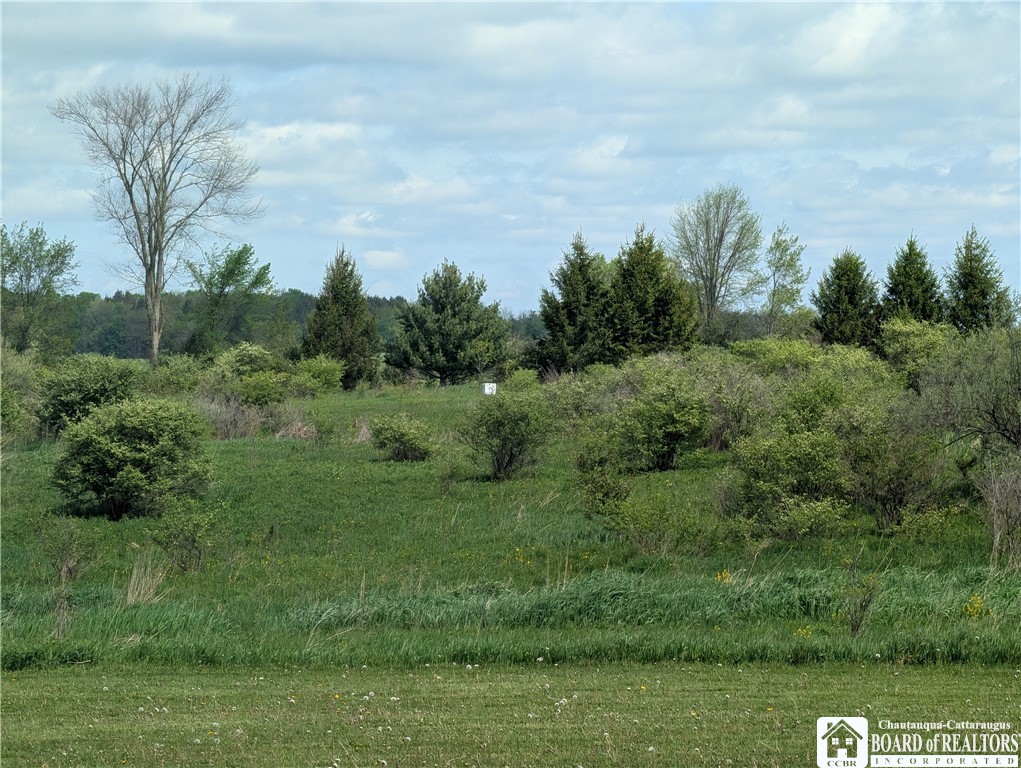13400 Parker Road Holland, NY 14080 - Photo 37 of 37 Property ends just about where the white thing in