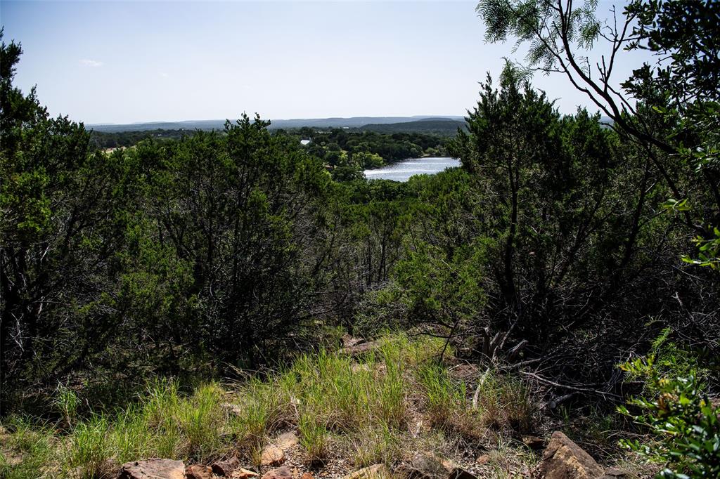 235 Big Bear Loop Strawn, TX 76475 - Photo 6 of 40 a view of a garden with a tree