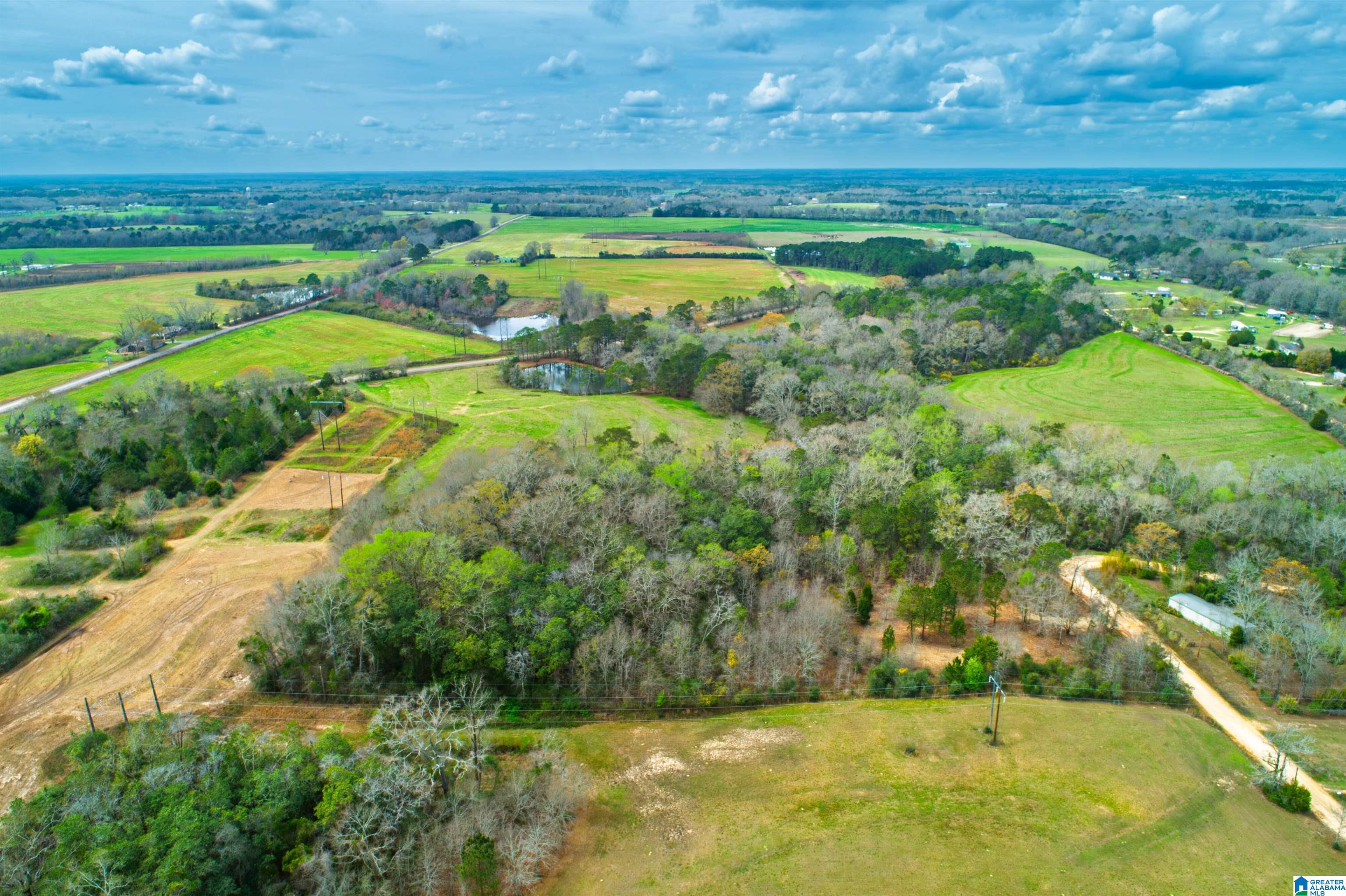 27180 Deer Run Road Opp, AL 36467 - Photo 7 of 60
