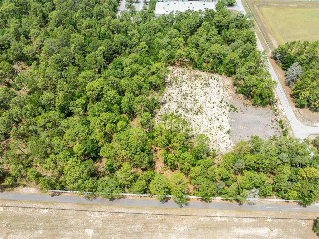15022 Gar Street Spring Hill, FL 34609 - Photo 13 of 26 an outdoor view of a yard with plants