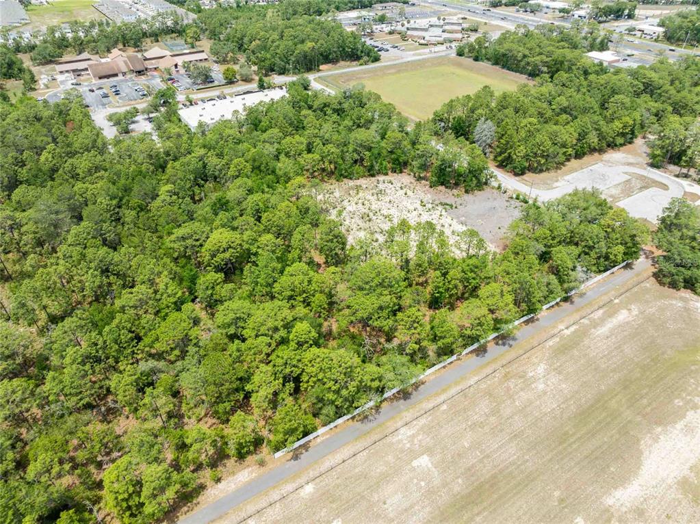 15022 Gar Street Spring Hill, FL 34609 - Photo 16 of 26 a view of a garden with a building