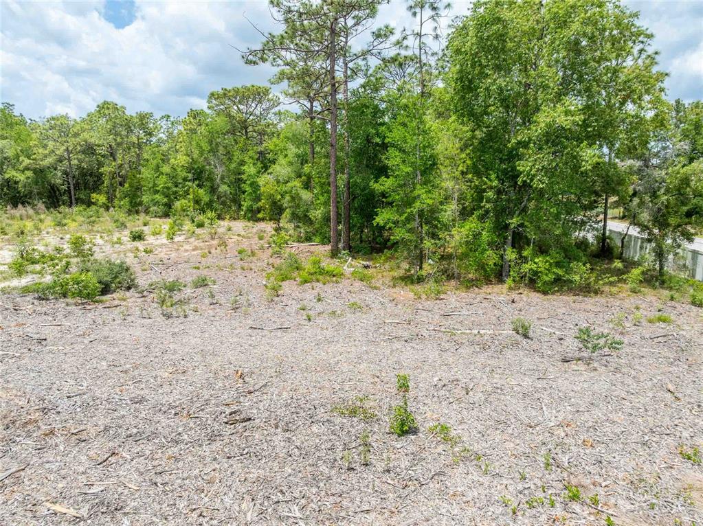 15022 Gar Street Spring Hill, FL 34609 - Photo 19 of 26 a view of a dry yard with trees
