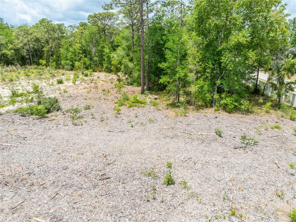 15022 Gar Street Spring Hill, FL 34609 - Photo 21 of 26 a view of a dry yard with trees