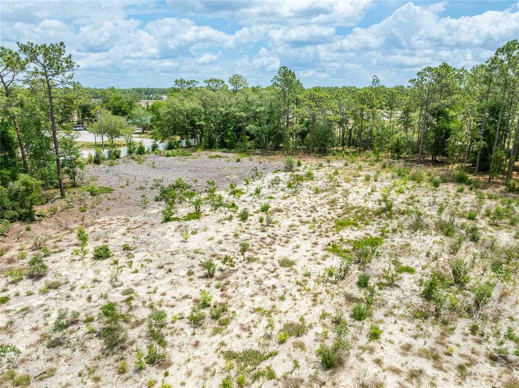 15022 Gar Street Spring Hill, FL 34609 - Photo 22 of 26 a view of a yard with a tree