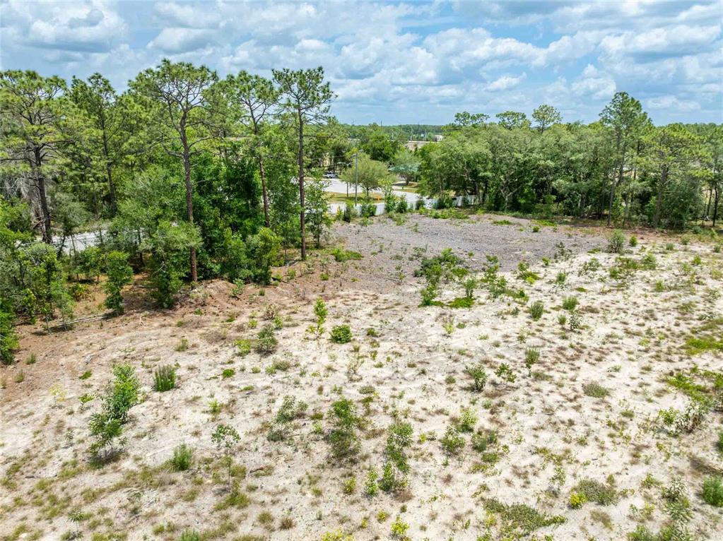 15022 Gar Street Spring Hill, FL 34609 - Photo 23 of 26 a view of a yard with plants and tree