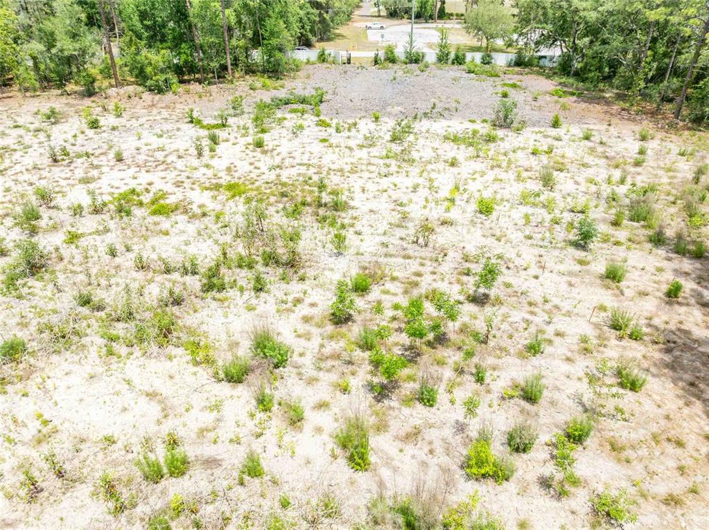 15022 Gar Street Spring Hill, FL 34609 - Photo 25 of 26
