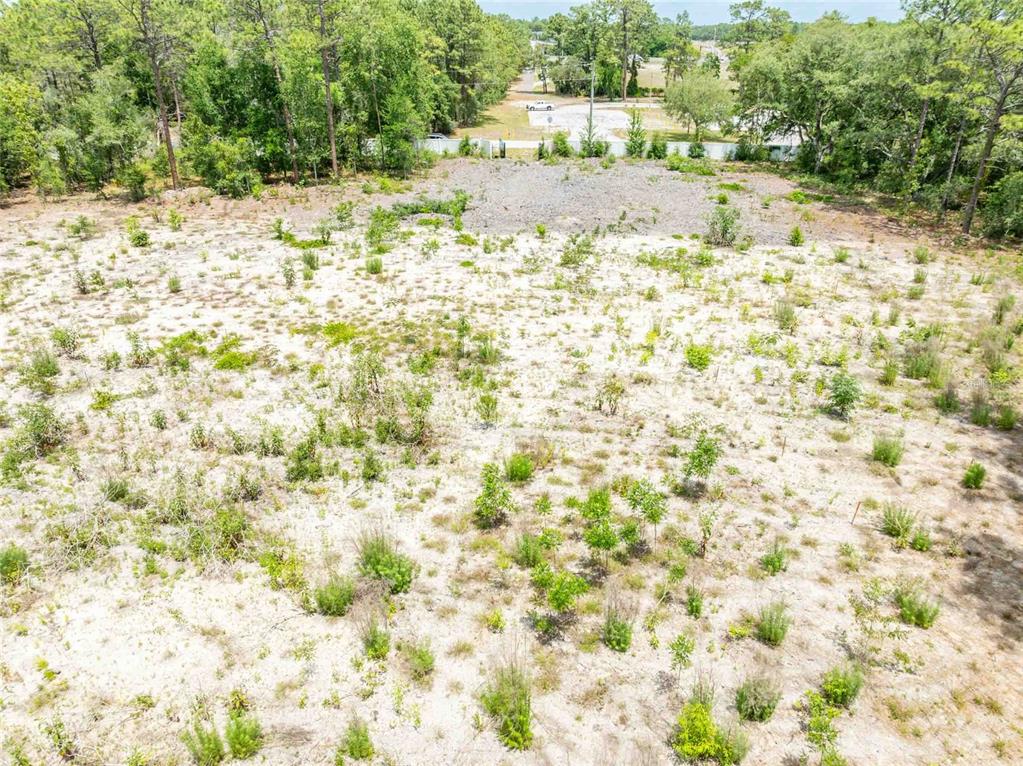 15022 Gar Street Spring Hill, FL 34609 - Photo 26 of 26 a view of yard with trees