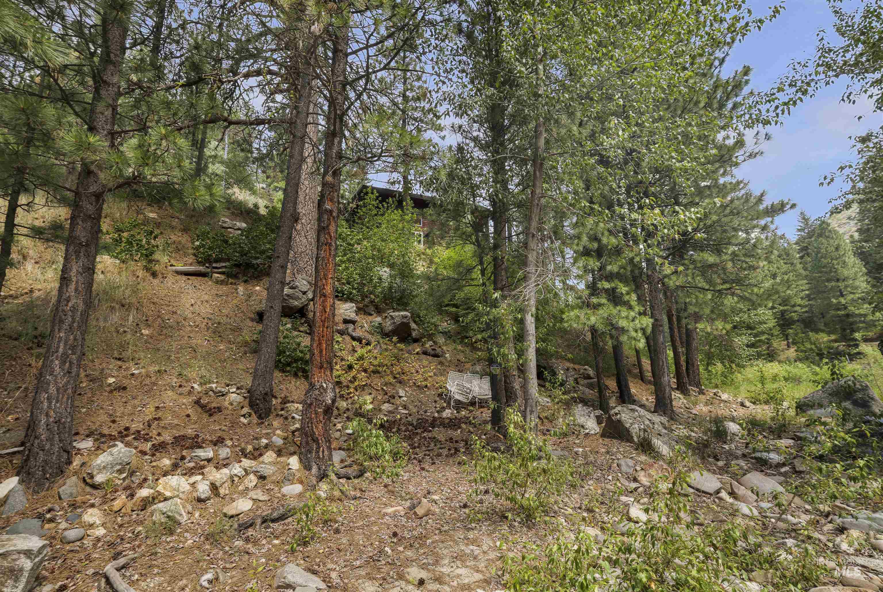 224 Dakota Road Mountain Home, ID 83647 - Photo 38 of 50 Wooded hillside property with mature evergreen trees and natural rock outcroppings