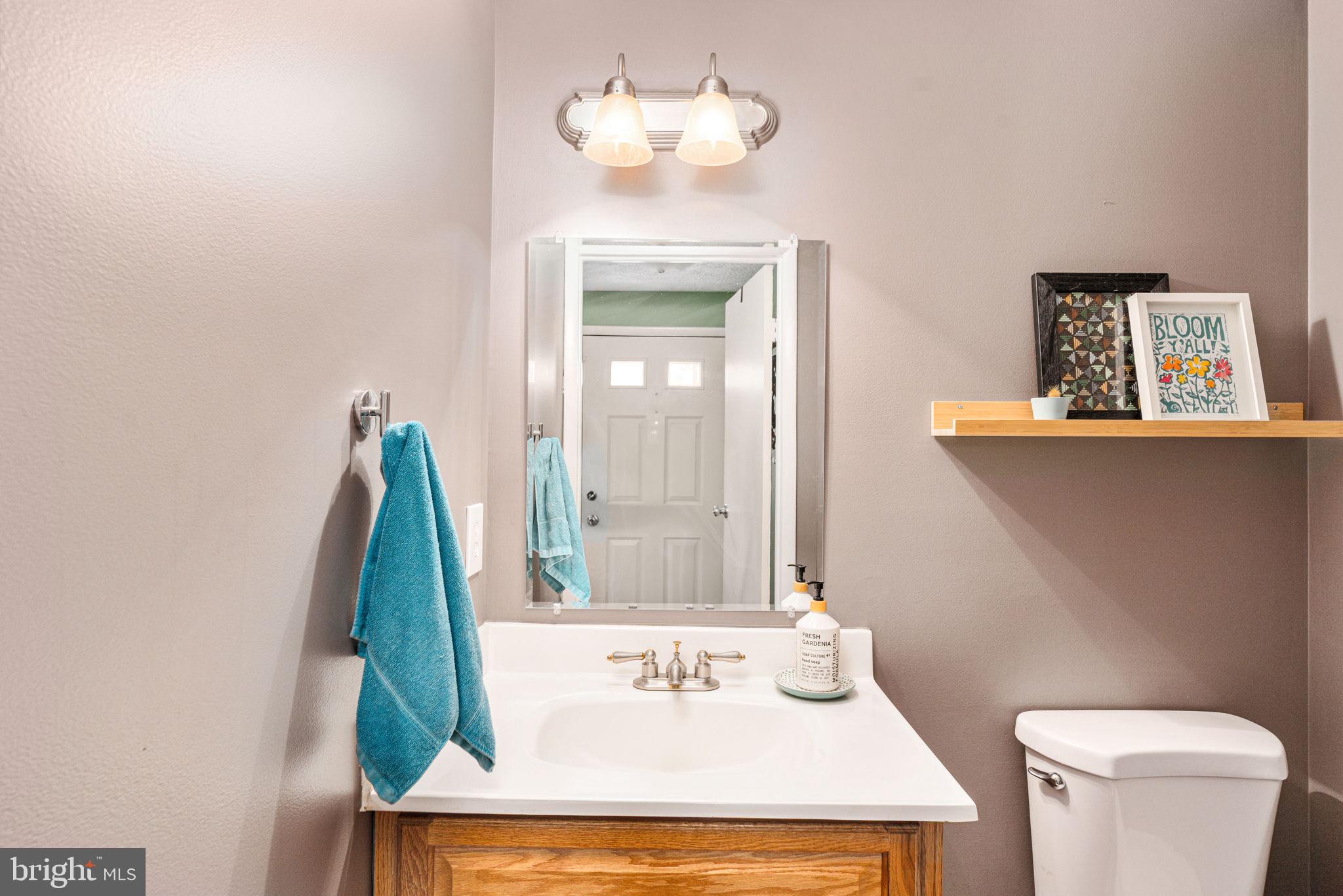 11537 Ivy Bush Court Reston, VA 20191 - Photo 19 of 49 a bathroom with a sink and a mirror