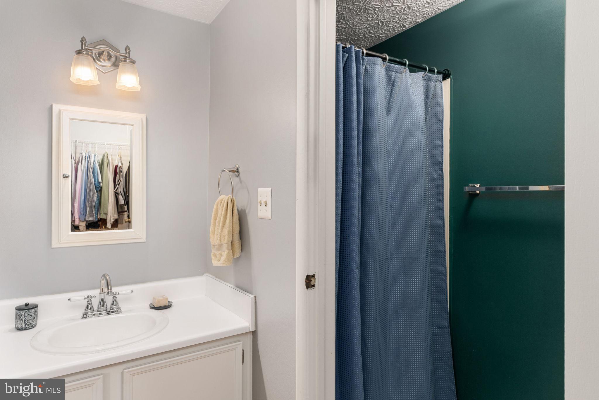 11537 Ivy Bush Court Reston, VA 20191 - Photo 24 of 49 a bathroom with a sink vanity and mirror