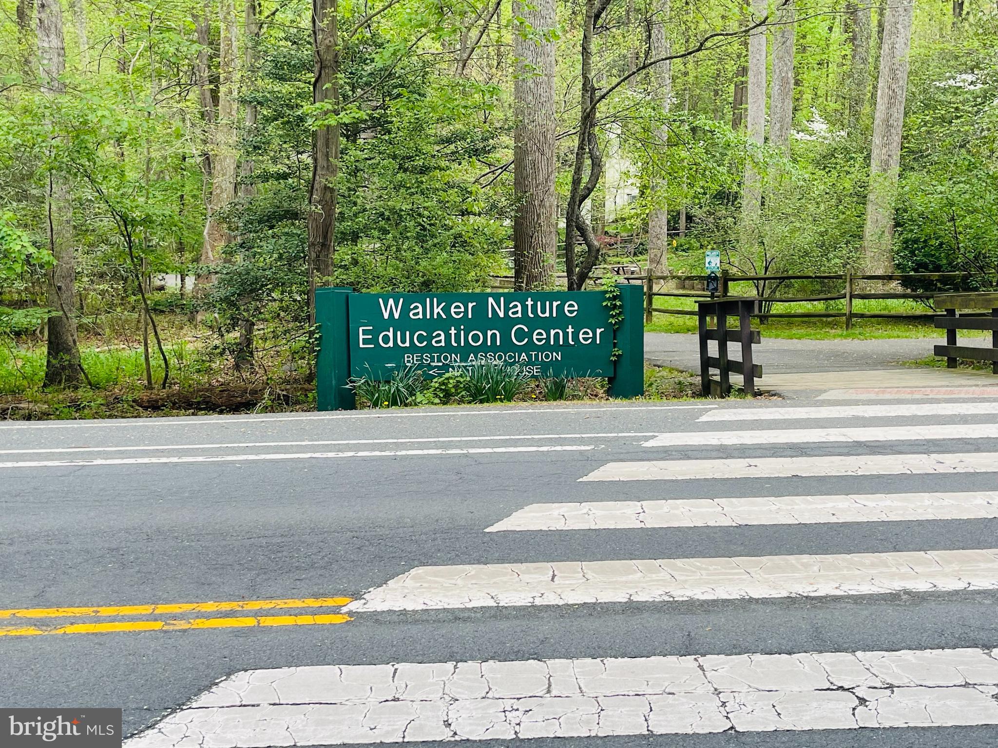 11537 Ivy Bush Court Reston, VA 20191 - Photo 49 of 49 a view of a park with large trees
