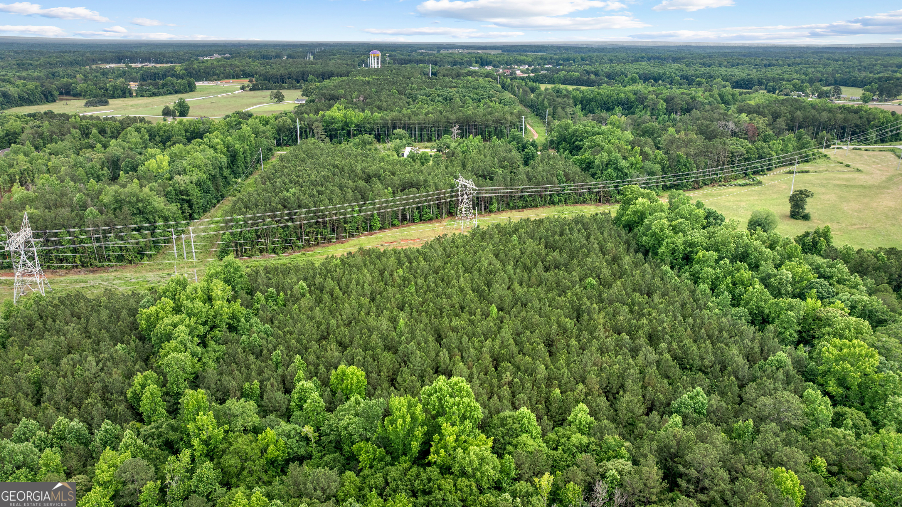 1329 Standing Rock Road Senoia, GA 30276 - Photo 58 of 77 a view of a green field with lots of green space in it
