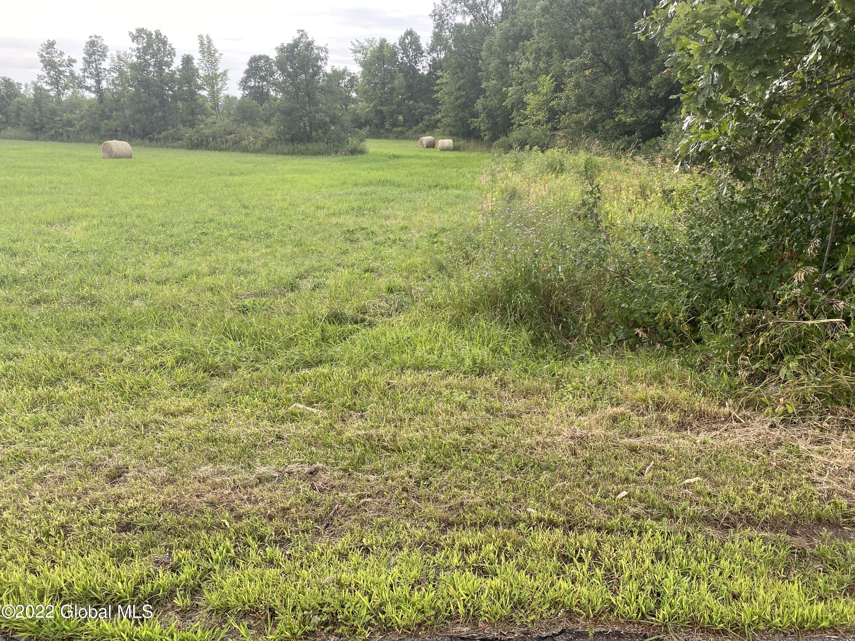L29.111 Rouse Road Fort Plain, NY 13339 - Photo 2 of 5 IMG_1840