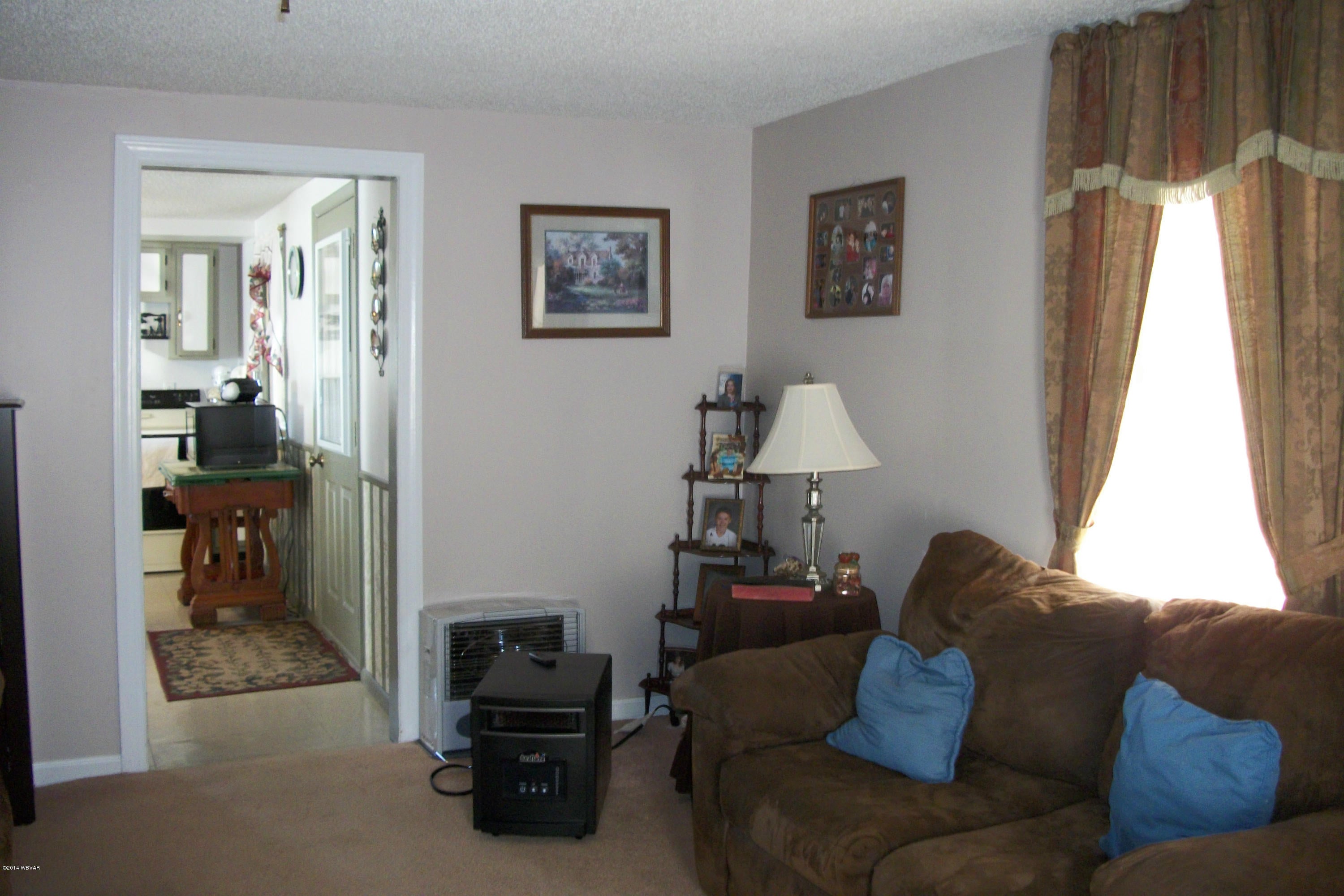 1724 Steam Valley Road Trout Run, PA 17771 - Photo 3 of 21 Living Room2