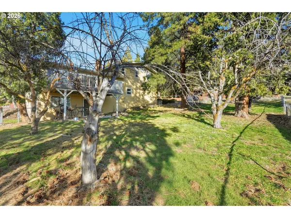 a view of a yard with yellow lighting