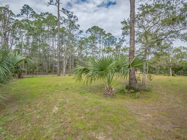 $165,000 | Xx Satilla Avenue, Panacea, FL 32346