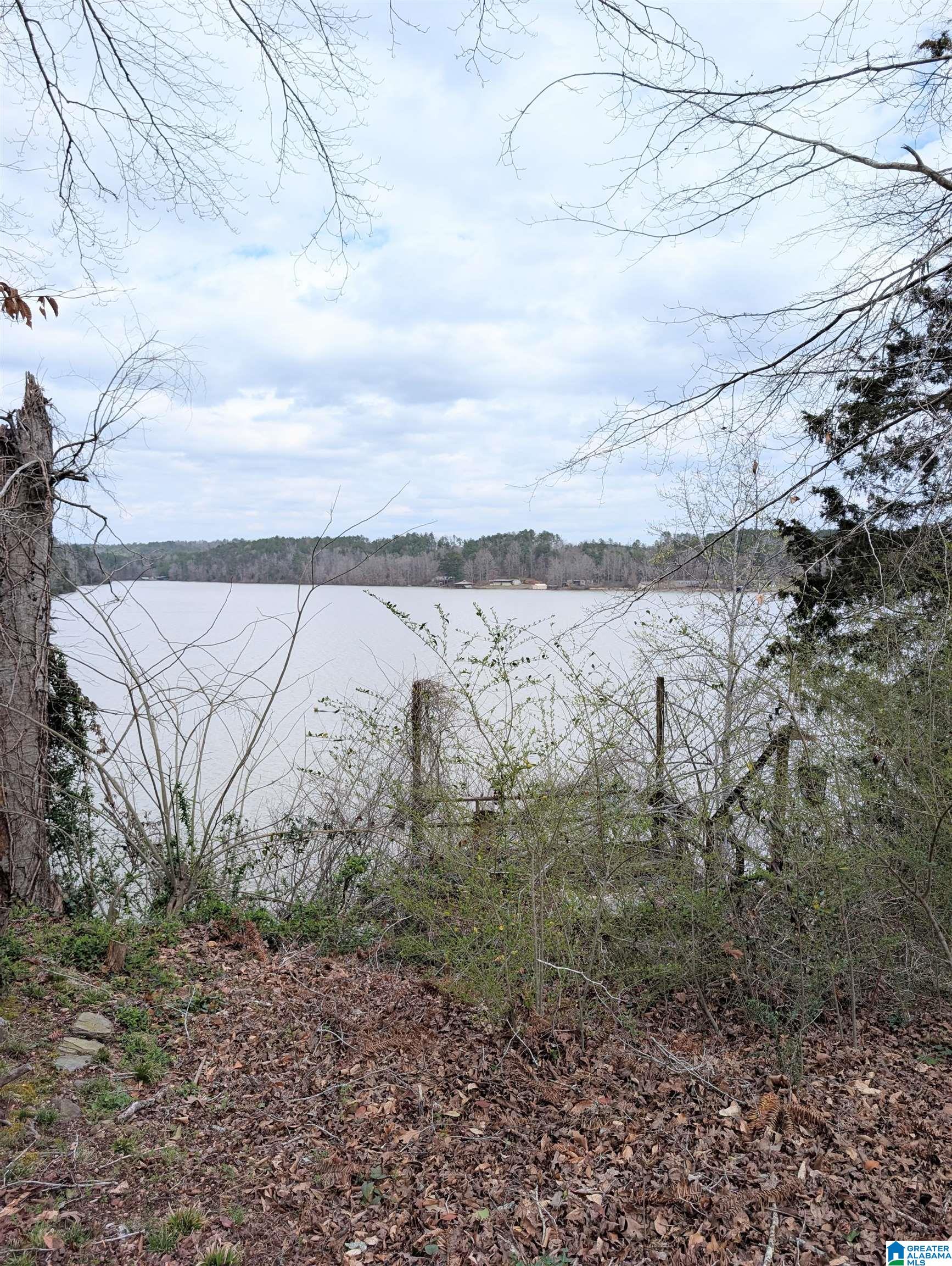 613 Smith Camp Loop Adger, AL 35006 - Photo 15 of 15