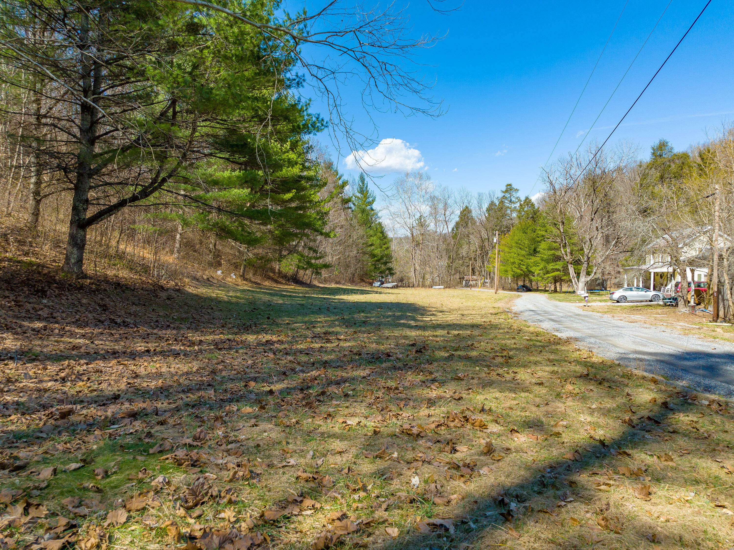 0 Ambrose Road Elliston, VA 24087 - Photo 19 of 42 a view of road with large trees