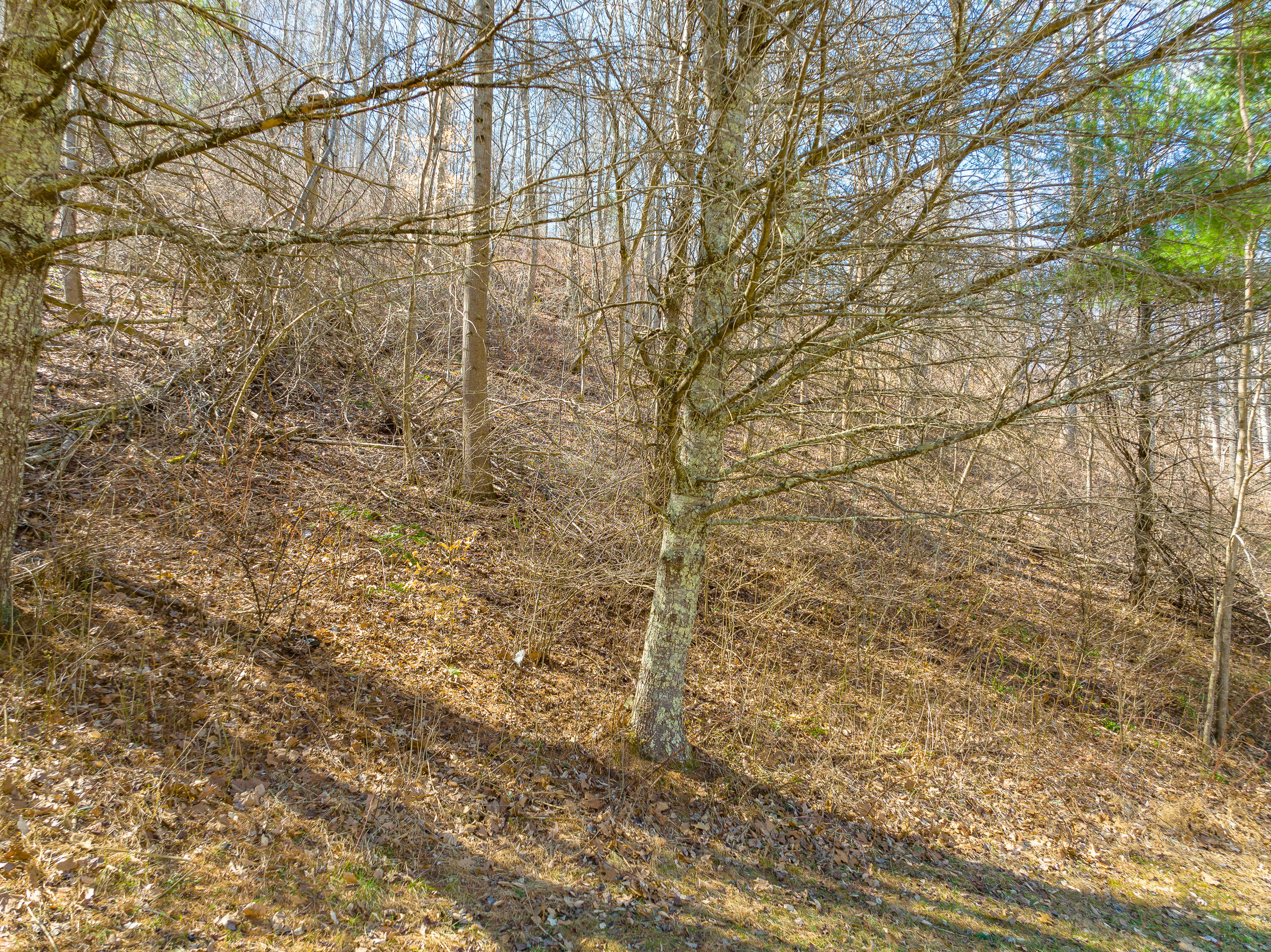 0 Ambrose Road Elliston, VA 24087 - Photo 24 of 42 a backyard of a building