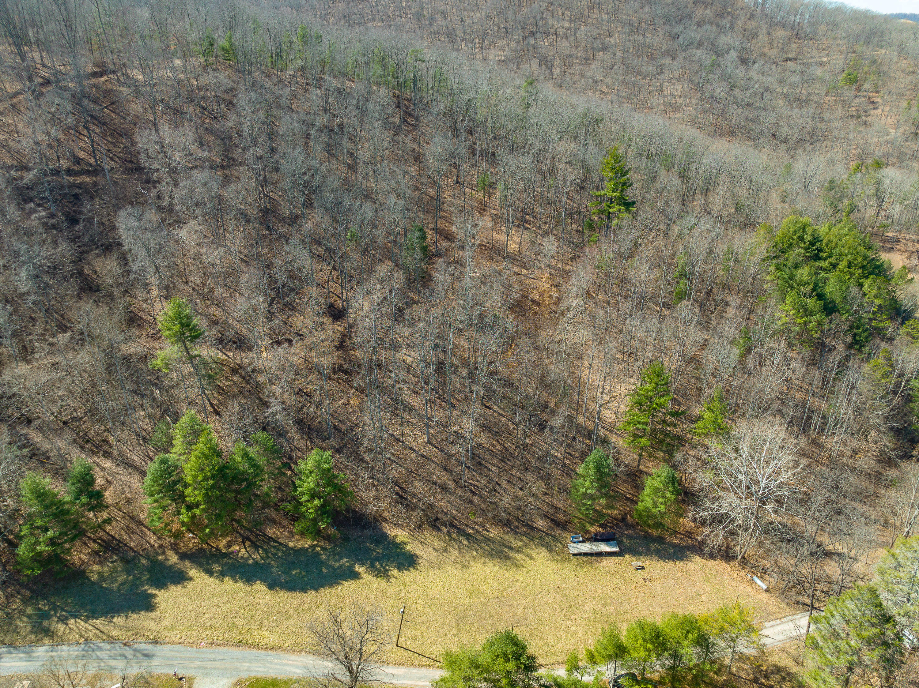 0 Ambrose Road Elliston, VA 24087 - Photo 5 of 42 a view of a yard with large trees