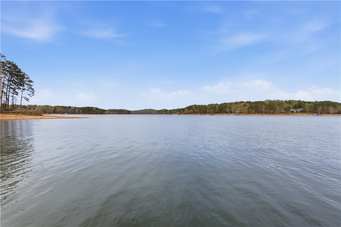 501 Capri Point Lavonia, GA 30553 - Photo 31 of 50 This serene waterfront property offers expansive lake views and tranquil natural surroundings.