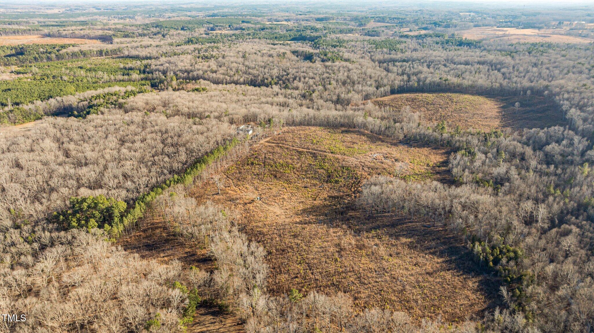 End Tudy Road Bullock, NC 27507 - Photo 11 of 20 8-web-or-mls-DJI_0324