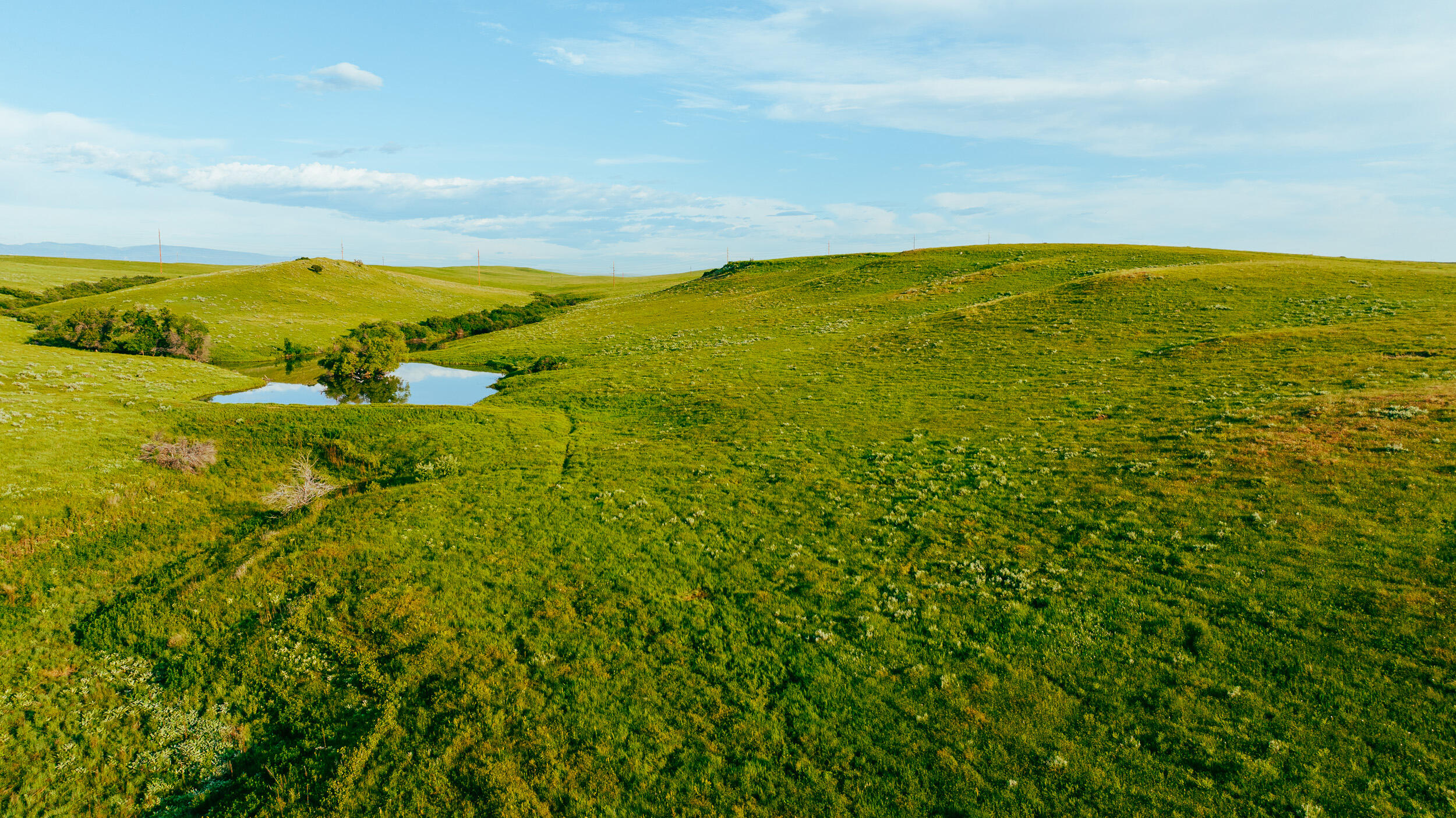Avenue Sheridan, WY 82801 - Photo 37 of 85 14.