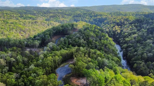 an aerial view of mountain with trees