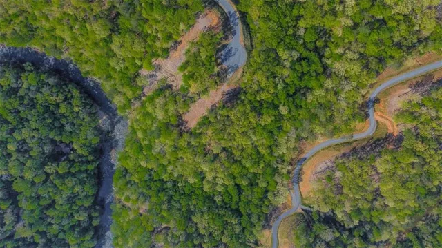 a map view of a forest