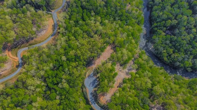a map view of a forest