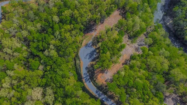 an aerial view of residential houses with outdoor space and trees