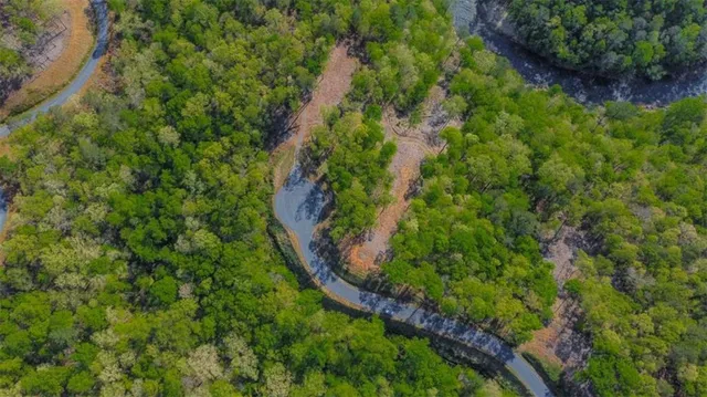 a view of a lush green forest with lots of trees